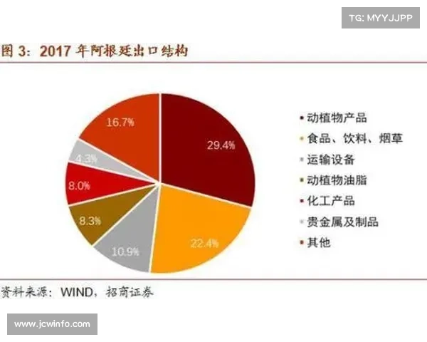 阿根廷加强边境安全措施防止巴西里约动荡影响国内稳定